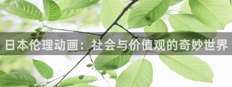 新风车动漫网530：日本伦理动画：社会与价值观的奇妙世界