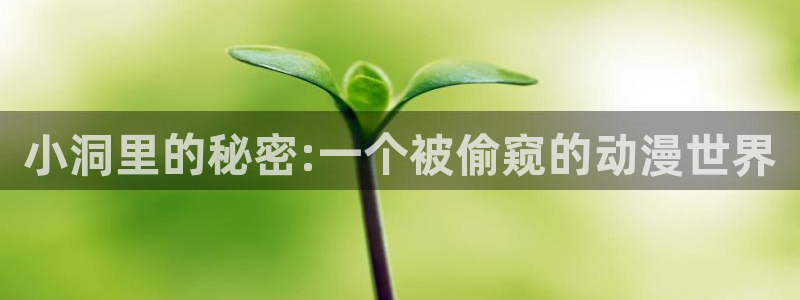 风车动漫在线：小洞里的秘密:一个被偷窥的动漫世界